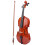 Viola Beginner with Bow Case Rosin Natural Color 4