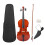 Viola Beginner with Bow Case Rosin Natural Color 1