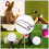 Golf Putting Training Putters Alignment Mirror 7