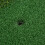 30x60CM PP Grass Golf Hitting Practice Pad Putting 11