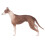 Portable Greyhound Figure - Durable Pet Model for Sensory Training 16