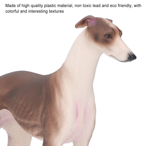 Portable Greyhound Figure - Durable Pet Model for Sensory Training 2