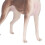 Portable Greyhound Figure - Durable Pet Model for Sensory Training 7