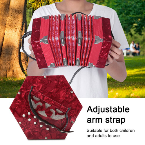 Professional 20 Buttons Accordion Concertina 2