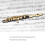 Piccolo Ottavino Half size Flute Plated C Key Tone 7