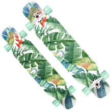 42 Inch Complete Skateboard for Beginners - Maple Cruiser Longboard with Colorful Flashing Wheels for Kids and Teens