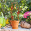 Eisen-Blumenrahmen 43x10 cm gold mit Kabelbindern 9