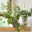 Eisen-Blumenrahmen 43x10 cm gold mit Kabelbindern 10