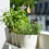 Eisen-Blumenrahmen 43x10 cm gold mit Kabelbindern 14