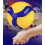 Professional V300W Volleyball Size 5 Ball 4