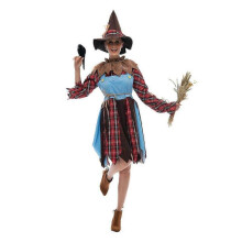 (M)Adult Halloween costume: The Wizard of Oz outfit, witch costume