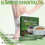 2X 18 Teabags Slim Green Coffee with Ganoderma Control Weight Weight Tea 3
