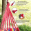 Double Outdoor HammockCamping EquipmentBalancing HammockBeach Hammock 2