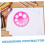 10pcs Circle Protractor Template Drawing Tool Set Pink Plastic Ruler for Accurate Circles Multi-Function Random Color 2