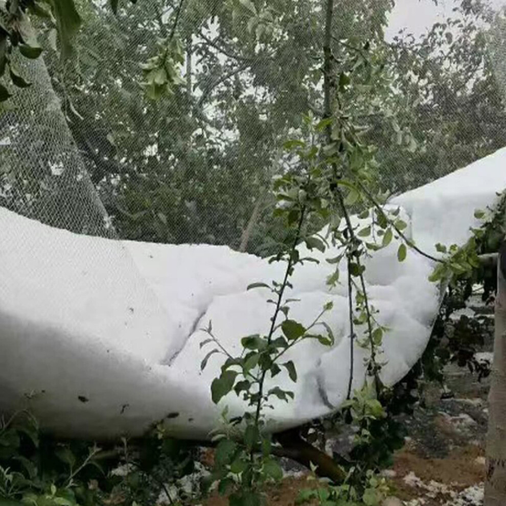 Heavy Duty Garden Netting 8x10m Anti Hail Flexible Mesh Plant Protection Barrier for Greenhouse Patio Gazebo 26x33ft-image-OPC-PJK92Z6-NEW