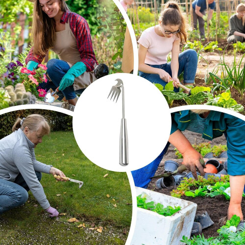Grass Puller, Manual 4 Teeth Crab Grass Removal Tool, 40 Cm Removable Handle for Yards and Gardens 2