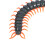 RC Centipede Simulation Toy 1200mAh Battery, Black 6