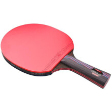 Table Tennis Bat with Premium Rubber and Elastic Sponge, Pro Ping Pong Paddle with Carry Bag for Competitive Play