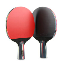 Table Tennis Bat for Students - Pure Wood 3 Star Ping Pong Bat with Long Handle and Case for Beginners
