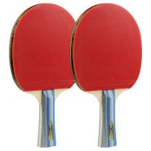 Table Tennis Bat, Lightweight Ping Pong Paddle for Beginners and Professionals, Excellent Control and Comfortable Grip, 3 Stars/B