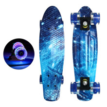 Complete Flashing Fish Skateboard 22 Inch for Adults, Kids, and Teens - Durable, Lightweight, Colorful Design, Perfect for Beginners