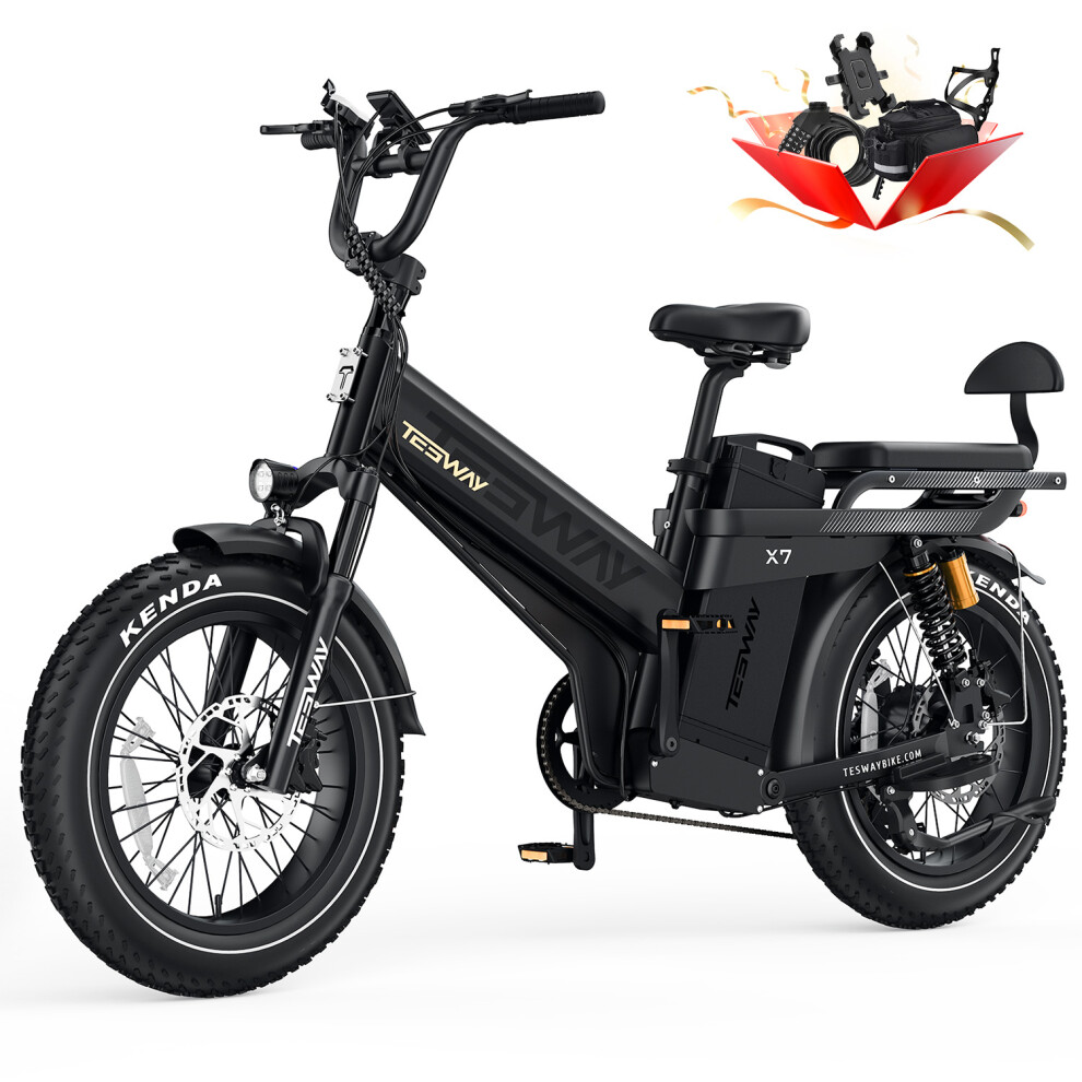 200-Mile Long-Range Cargo E-bike, 48V 60Ah 2000W Motor Family-Friendly-image-OPC-PJK9MQ9-NEW