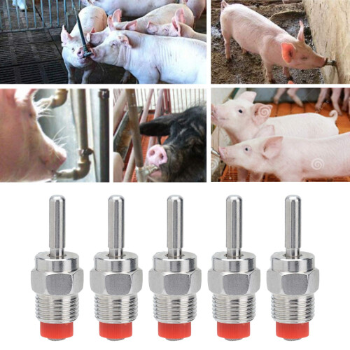 5 pezzi di beccucci automatici per abbeveratoio di maiali 6.5x2 cm G1/2