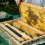 Easy-to-Use 20PCS Beehive Traps: Control Pests in Gardens & Apiaries 12