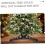 Pack of 4 Christmas Tree Stands, ABS Rotating Base Frame Collar for Artificial Mini Trees, Replacement Legs 3