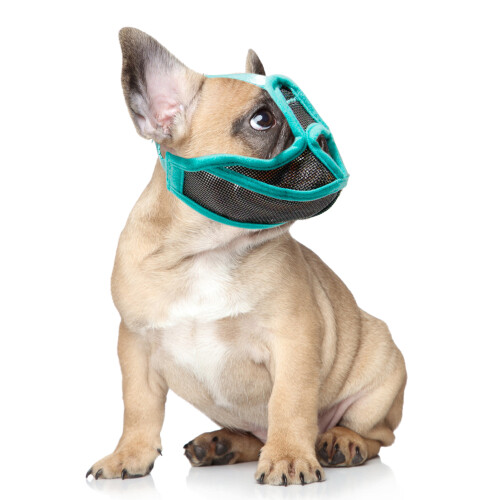Short Snout Dog Muzzle Mesh Adjustable Breathable Anti Biting Bulldog Short Snout Muzzle for DogsS 2