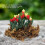 1:12 DIY Fleurs pour maison de poupée couleur vert mousse Scène 1 pièce 10