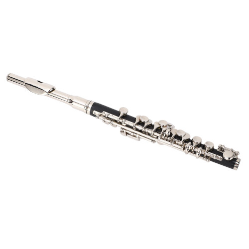C Piccolo Flute Instrument Key C Student School 2