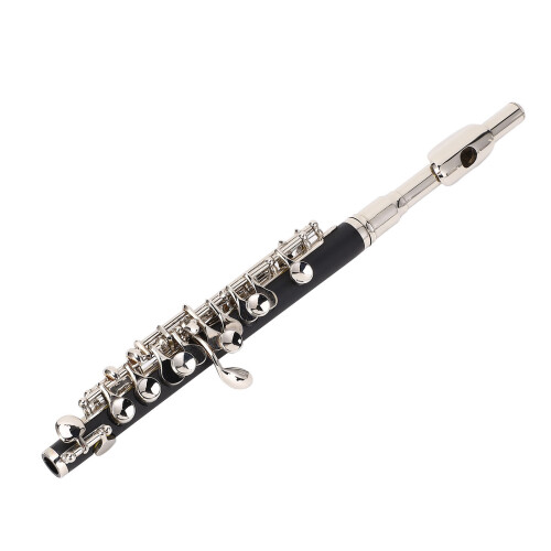 C Piccolo Flute Instrument Key C Student School 1