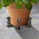 UV-Resistant Antique Bronze Plant Elevators for Healthy Roots 5