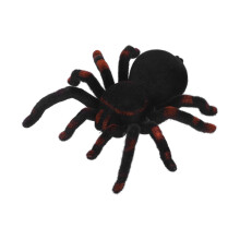Remote Control Tarantula Toy with Blue LED Eyes for Realistic Fun
