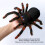 Remote Control Tarantula Toy with Blue LED Eyes for Realistic Fun 10