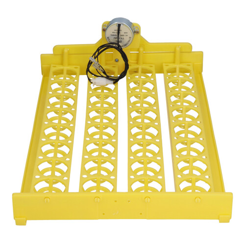 Girauova automatico vassoio in plastica da 32 uova 4229 cm