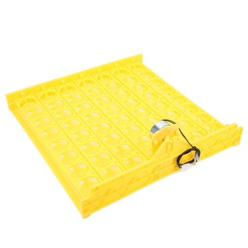 Incubatrice ABS 110V con girauova automatico per 56 uova 2