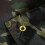 Camouflage Outdoor Portable Lightweight Rainproof 12