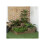 Jardín elevado - MUVOE - 122x122x51 cm - Madera maciza - Marrón - 3 niveles 2