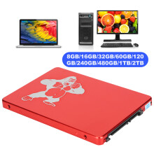 Hsthe Sea 2.5in SSD 16GB Red Metal Smart Error Correction & Easy Setup