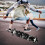 Maple Wooden Professional Longboard Anti-skid Deck 7