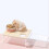 Transparent Hamster Sand Bath Shower Box - Solid Wood Large Square 5