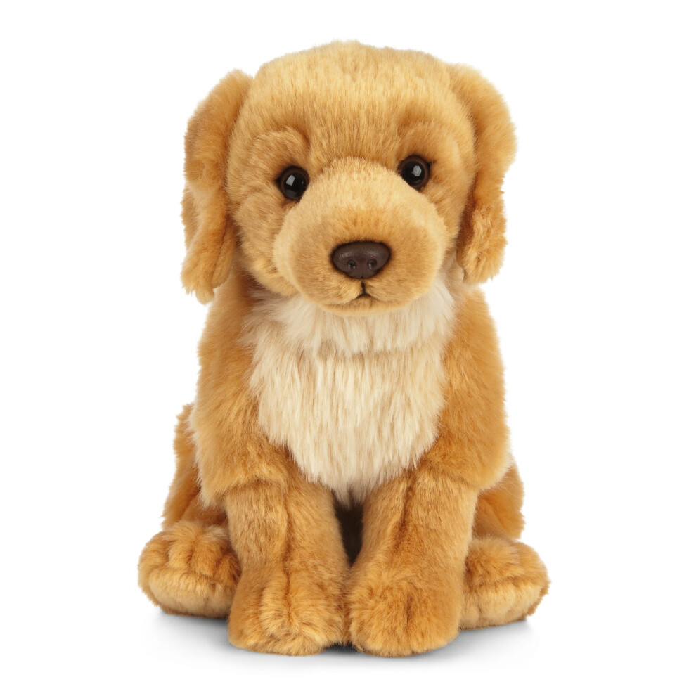 Living Nature Golden Retriever Soft Toy | Fluffy Dog Animal | Soft Toy Gift for Kids | 20 cm-image-OPC-PJKNFRW-NEW