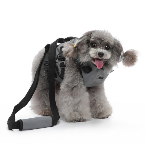 Arnés de chaleco gris para gato, talla M, con correa de nylon ajustable 2