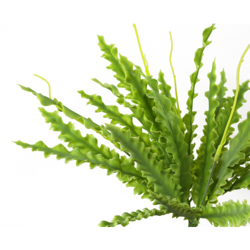 Leaf 12 x 40cm Artificial Crocodile Fern Plant 2
