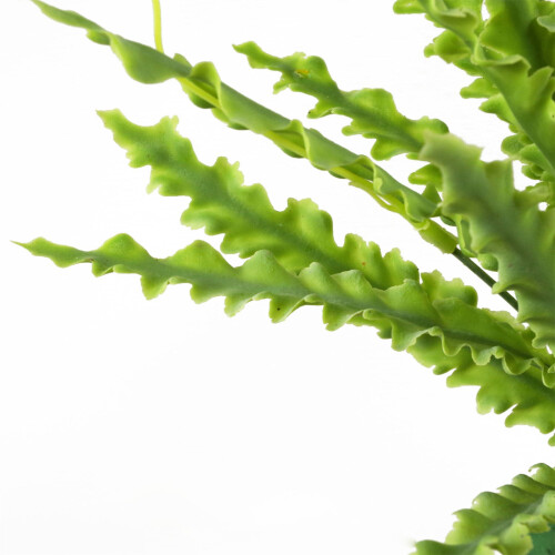 Leaf 12 x 40cm Artificial Crocodile Fern Plant 1
