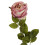 Leaf 70cm Artificial Light Pink Rose 1