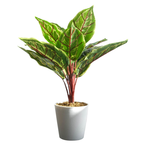 Leaf 38cm Potted Artificial Calathea Veitchiane