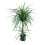 Leaf 90cm Double Dracaena Plant 1